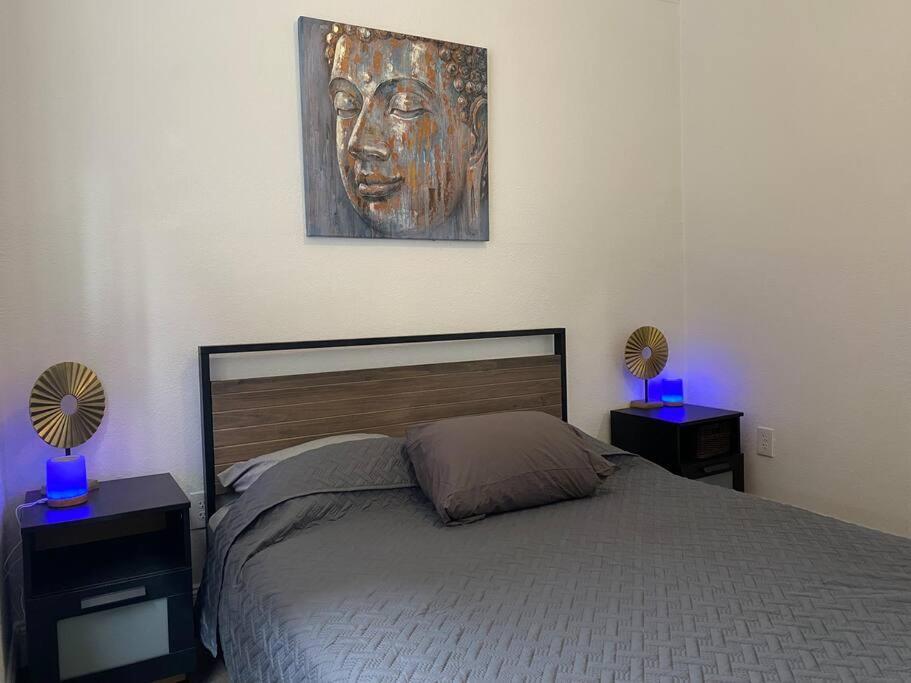 Contemporary 1-Bedroom Private Bungalow Walk To Armature & Riverwalk Tampa Ngoại thất bức ảnh